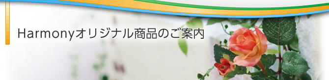 セミナー