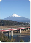 2009年1月号